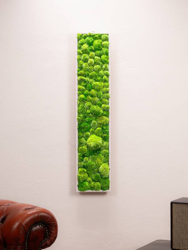 Tableau Bubble 115x25