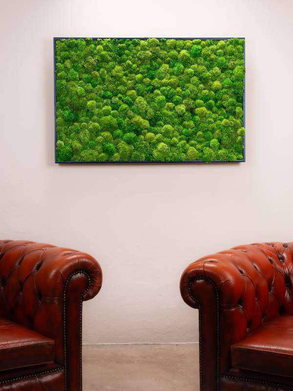 Tableau Bubble 115x75