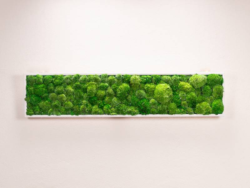 Tableau Bubble 115x25