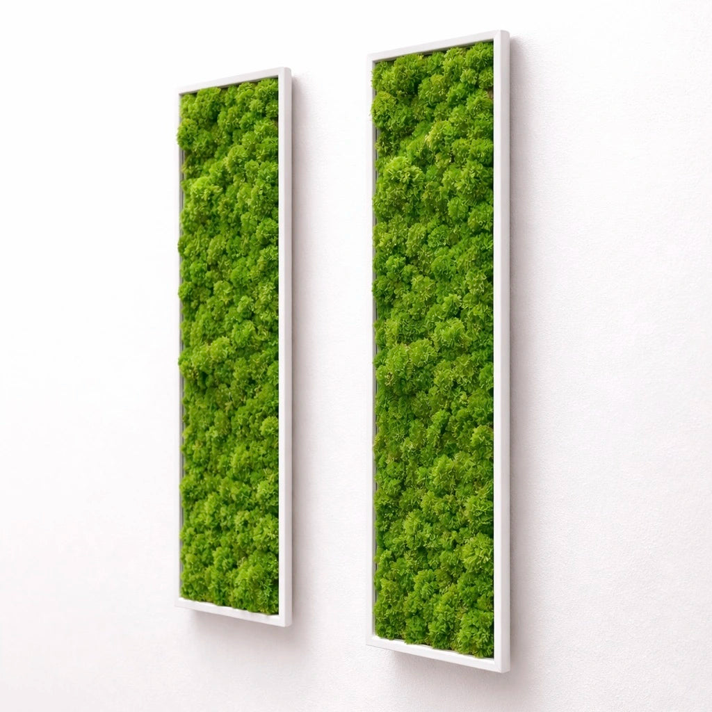 tableaux végétaux naturels stabilisés