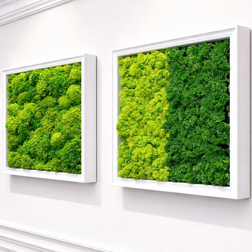 tableaux végétaux naturels stabilisés