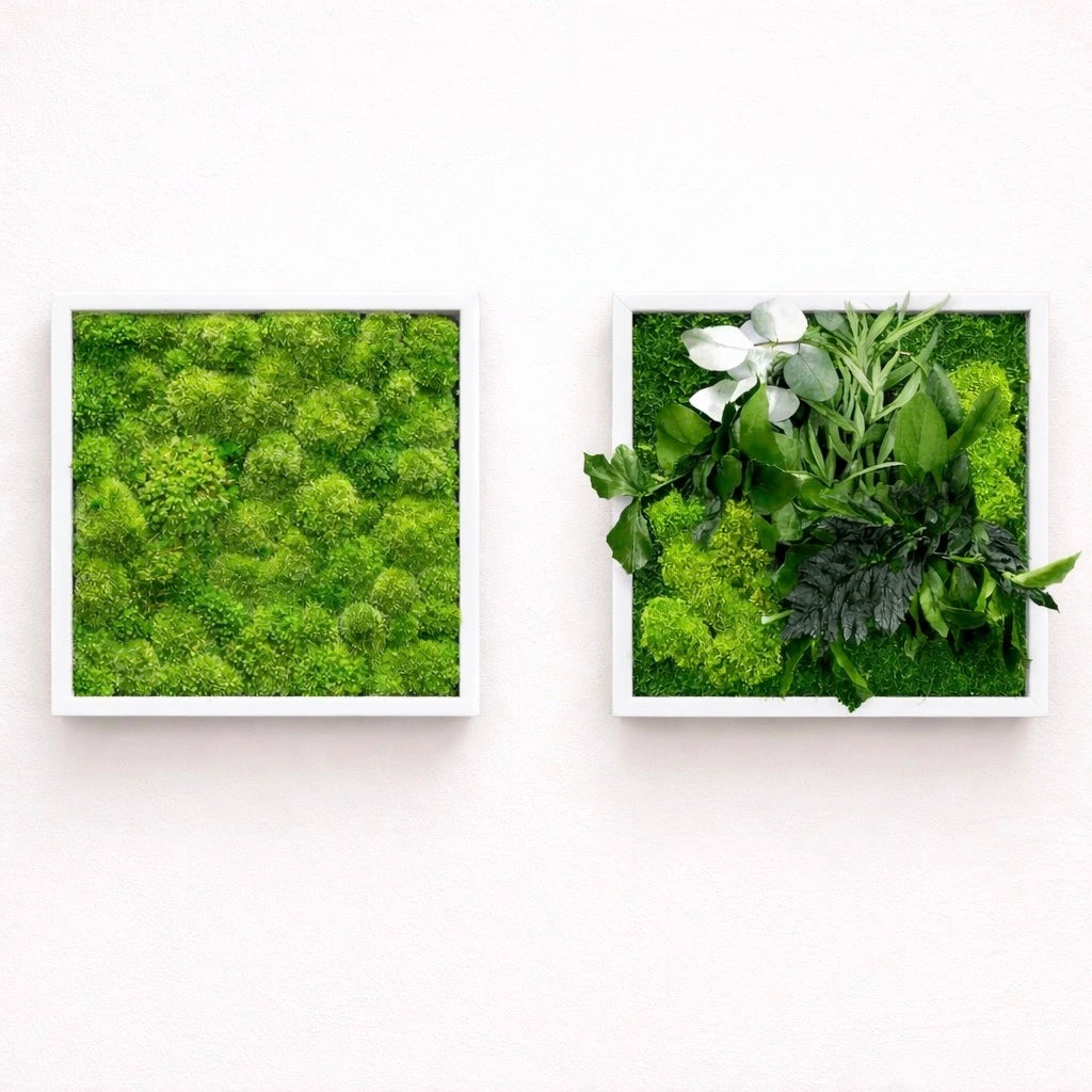 tableaux végétaux naturels stabilisés