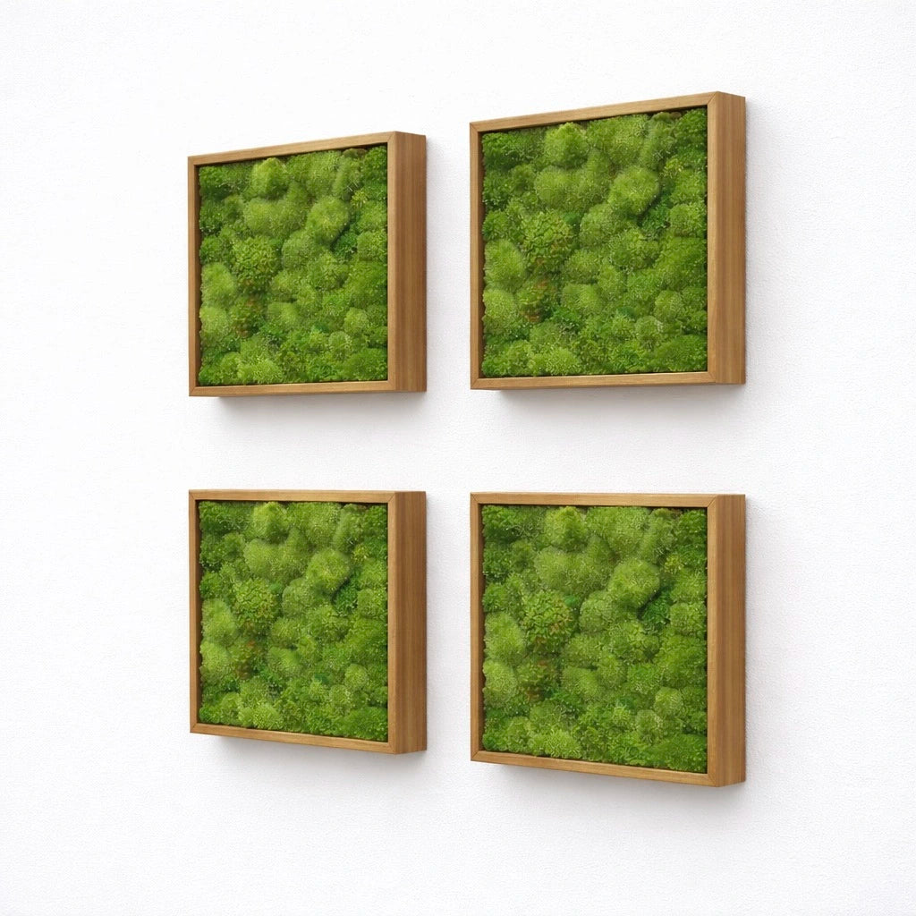 Tableaux végétaux naturels stabilisés