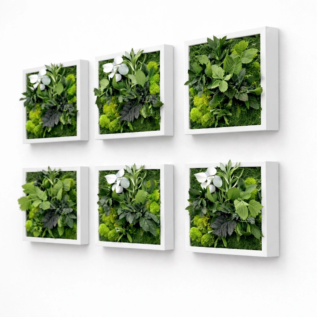 tableaux végétaux naturels stabilisés