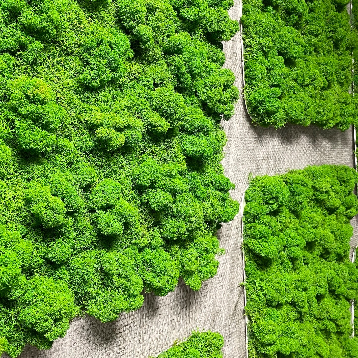 tableau végétaux naturels stabilisé
