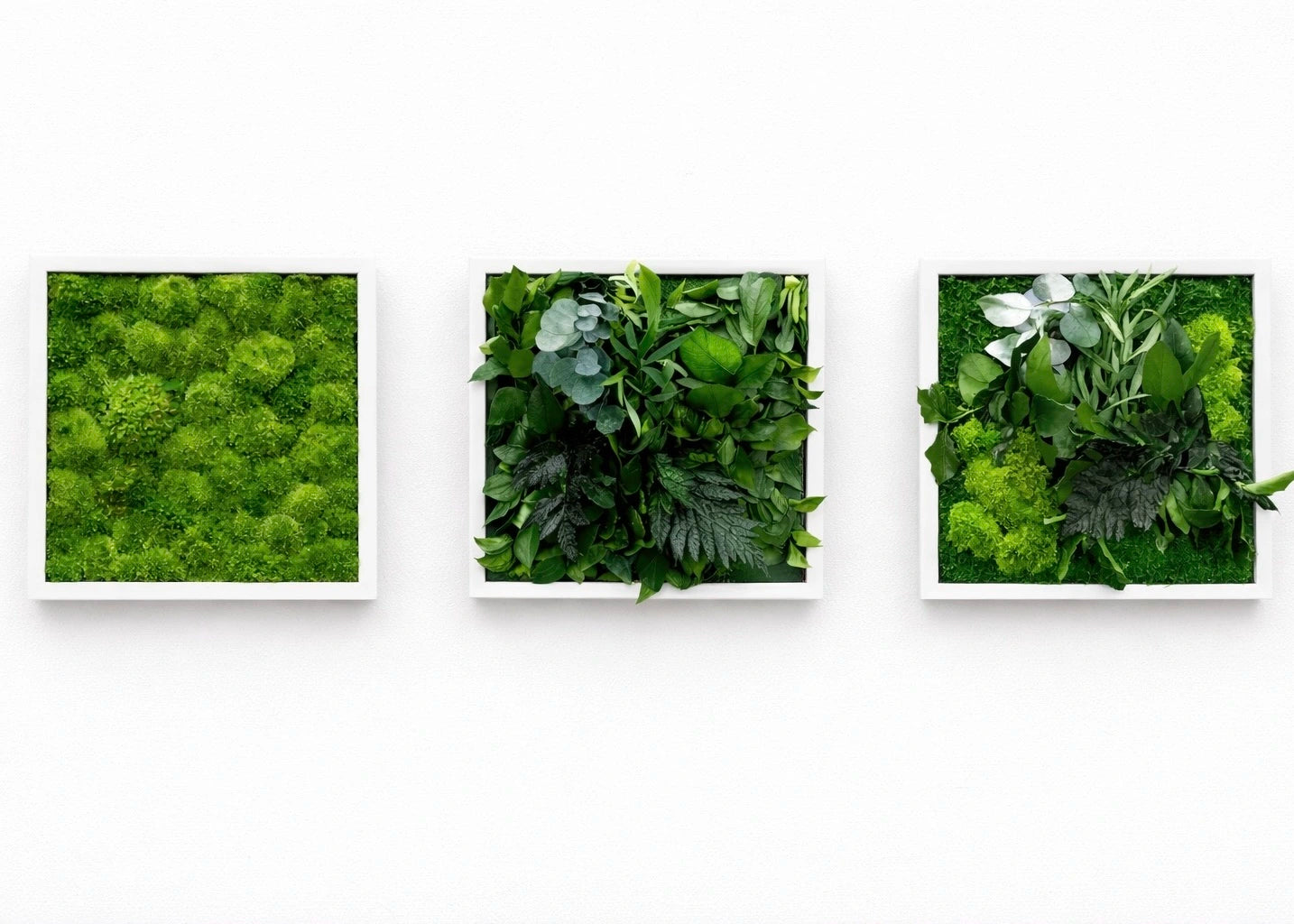 tableaux végétaux naturels stabilisés