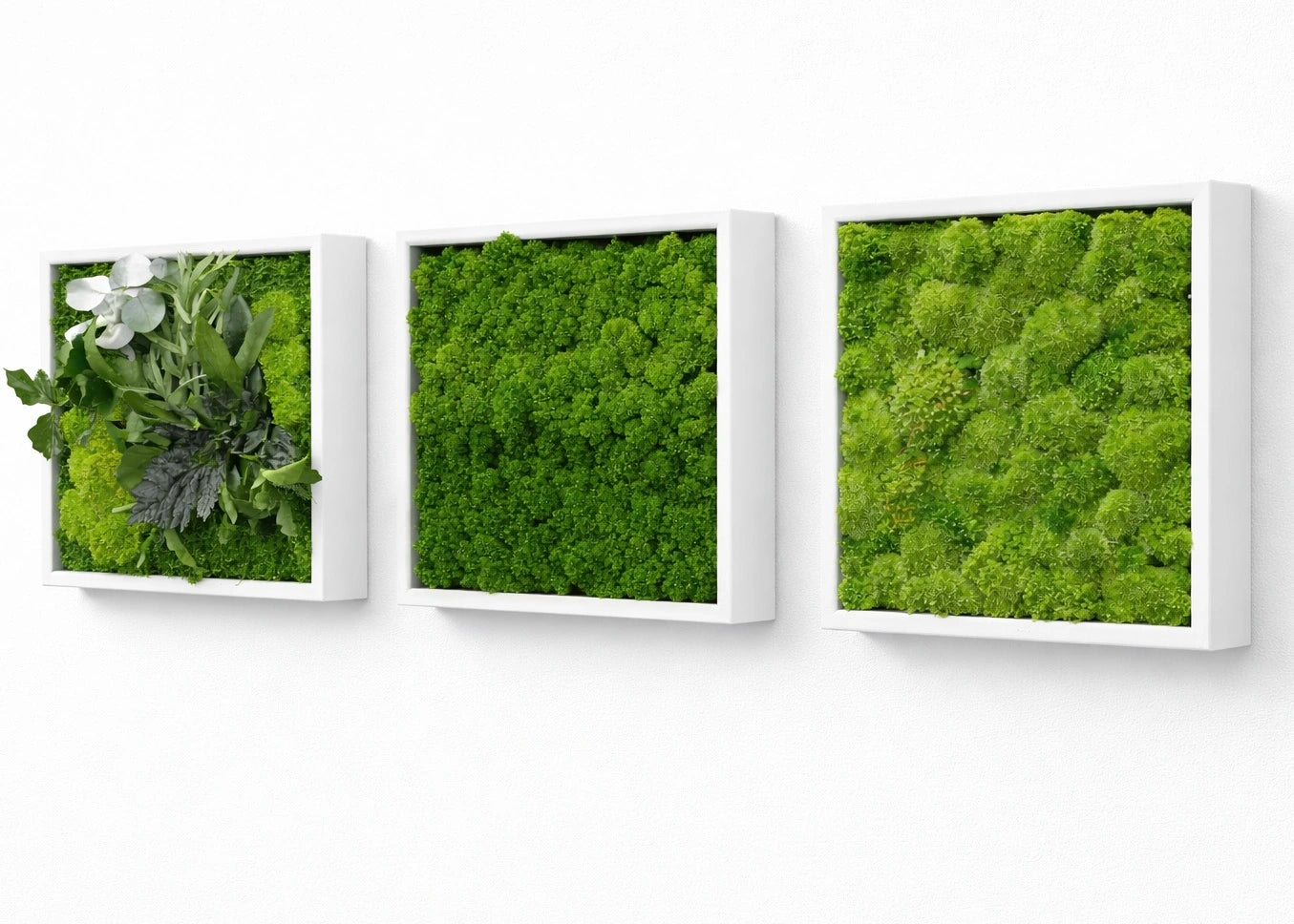 tableaux végétaux naturels stabilisés
