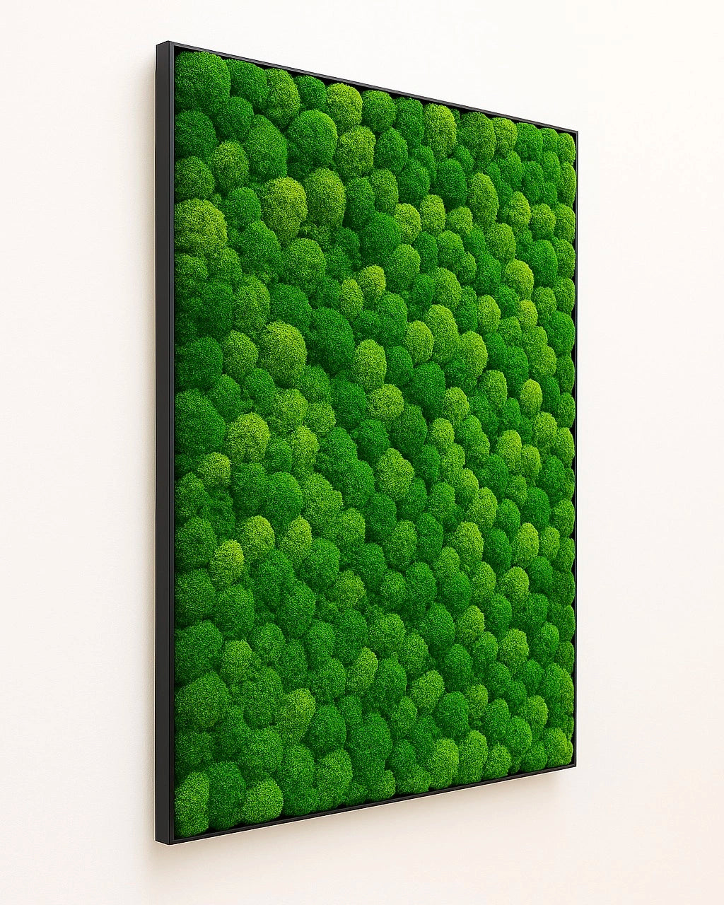 Mur Tableaux végétaux déco