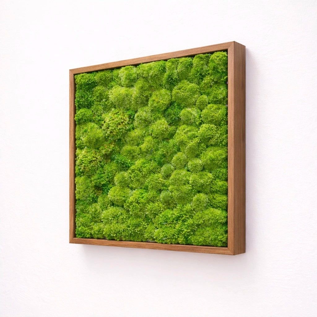 Tableau végétal naturel stabilisé