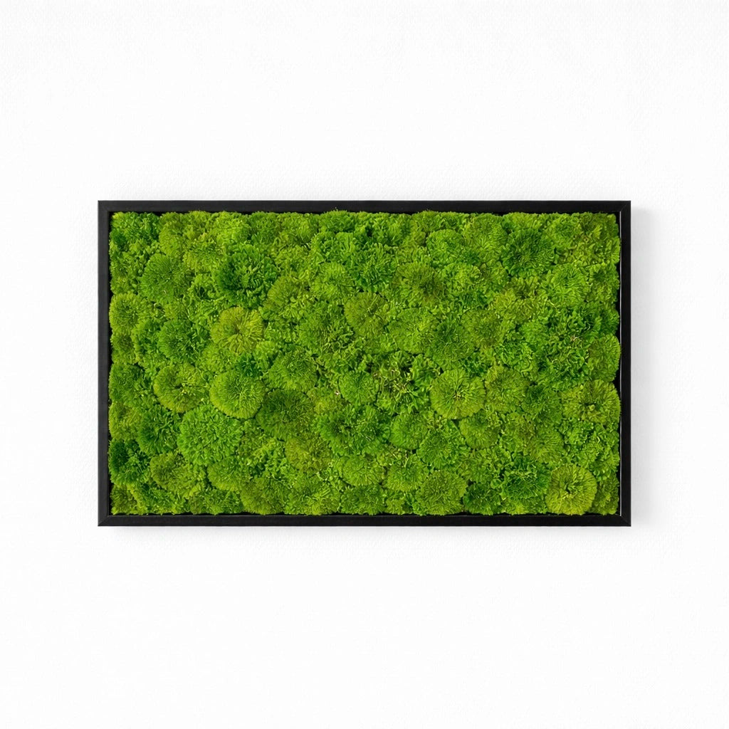 Tableau végétal naturel stabilisé
