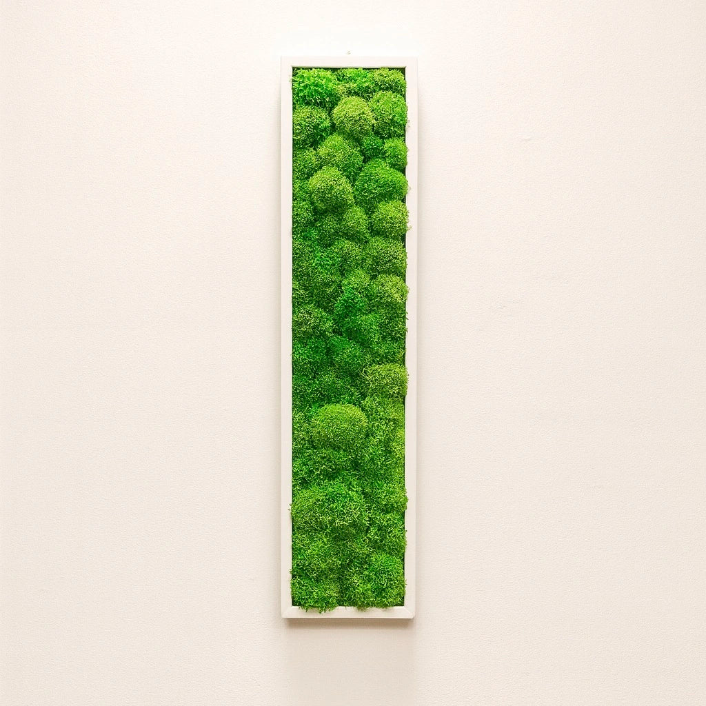 tableau végétal naturel stabilisé