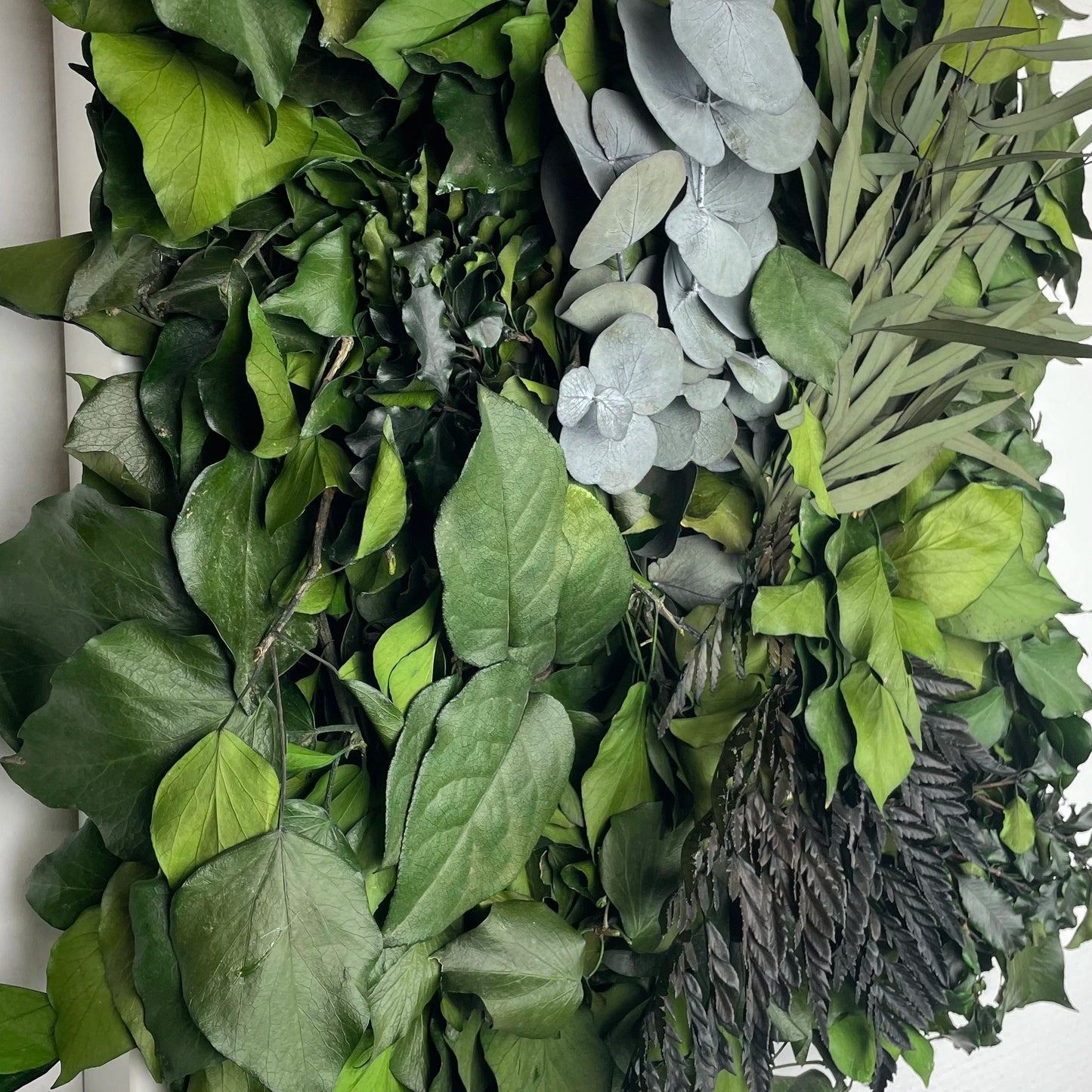 Tableau végétal naturel stabilisé