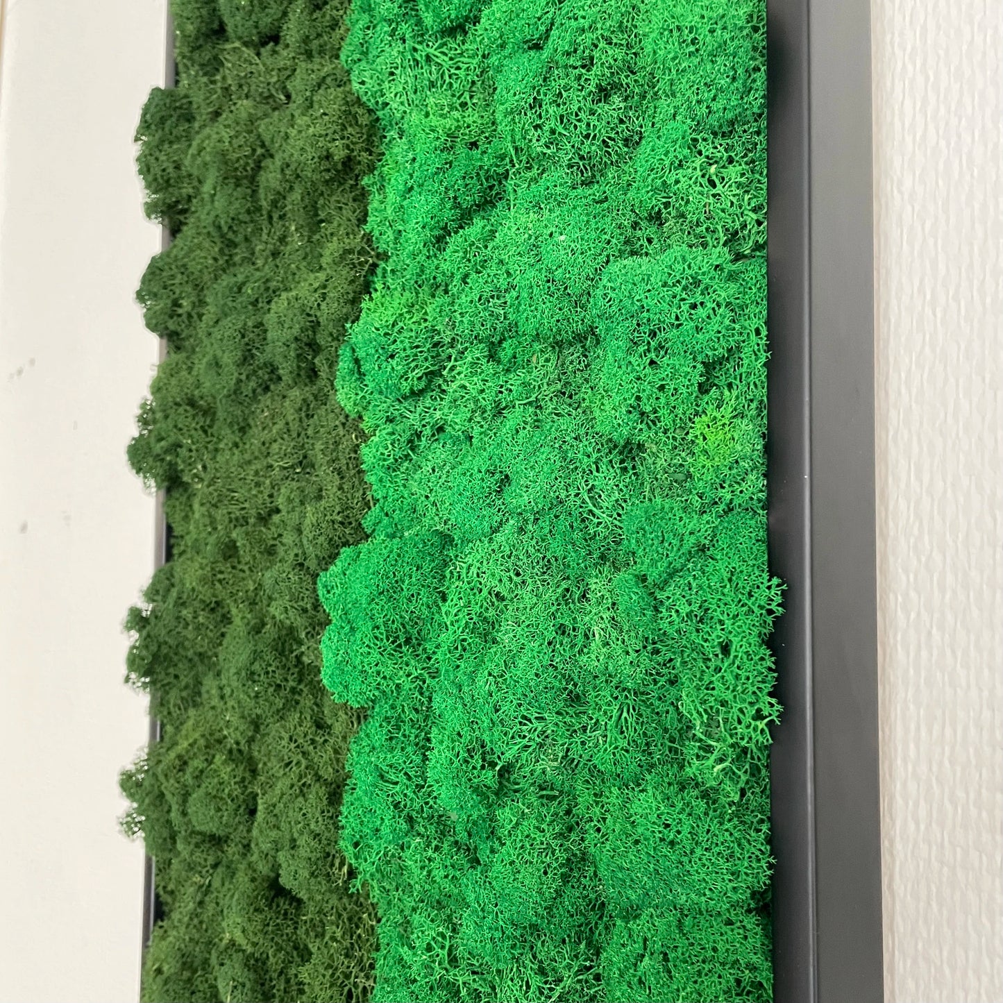 Tableau végétal naturel stabilisé