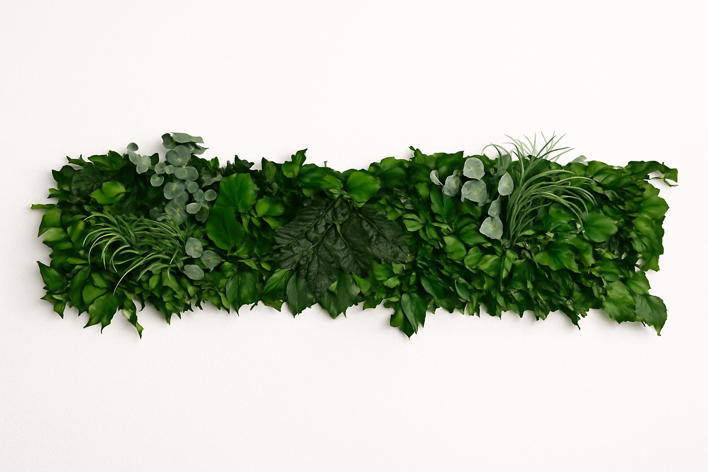 tableau végétal naturel stabilisé