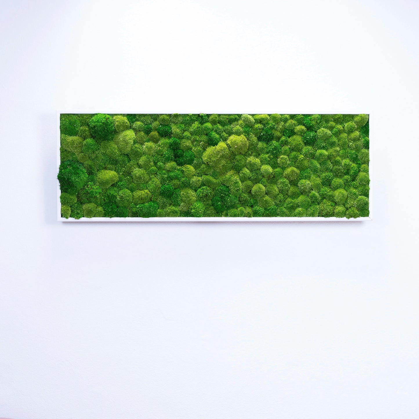 tableau végétal naturel stabilisé