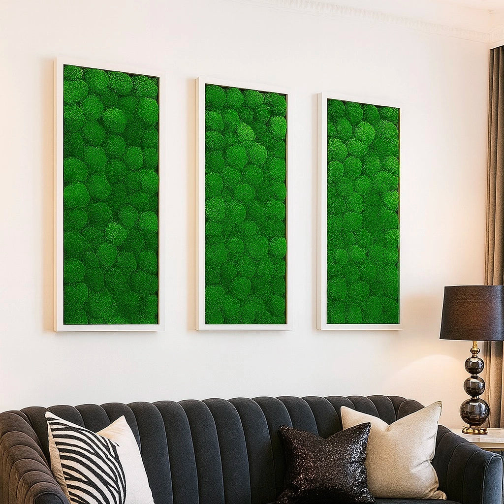 Tableaux murs intérieur décoration végétaux stabilisés