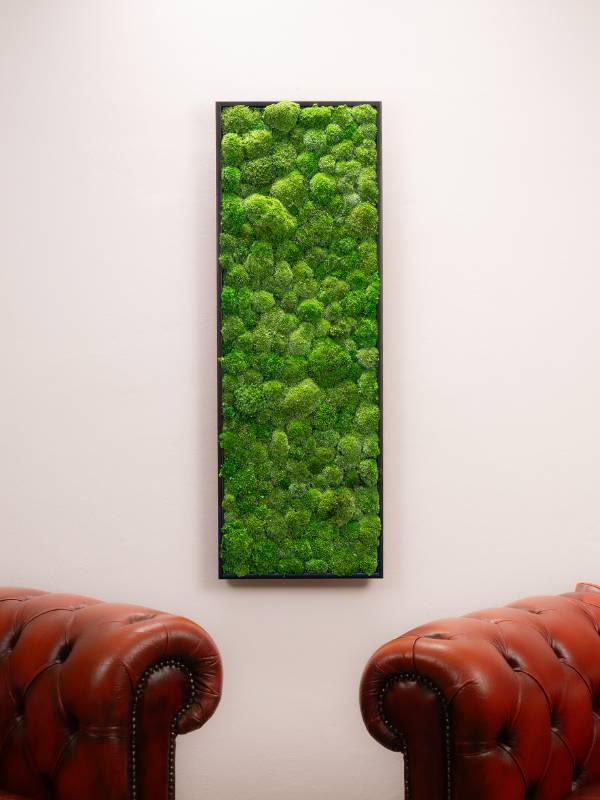 Tableau Bubble 115x40