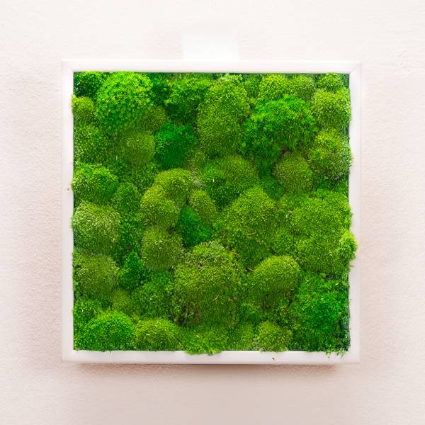 Tableau Bubble 35x35