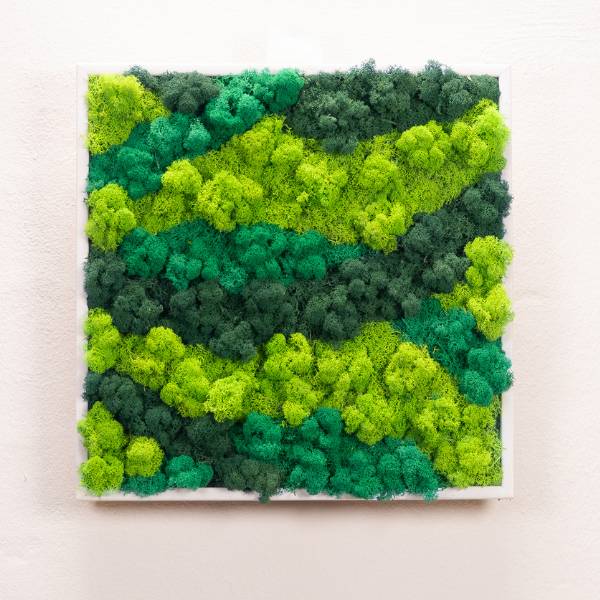 Tableau Lichen 50x50