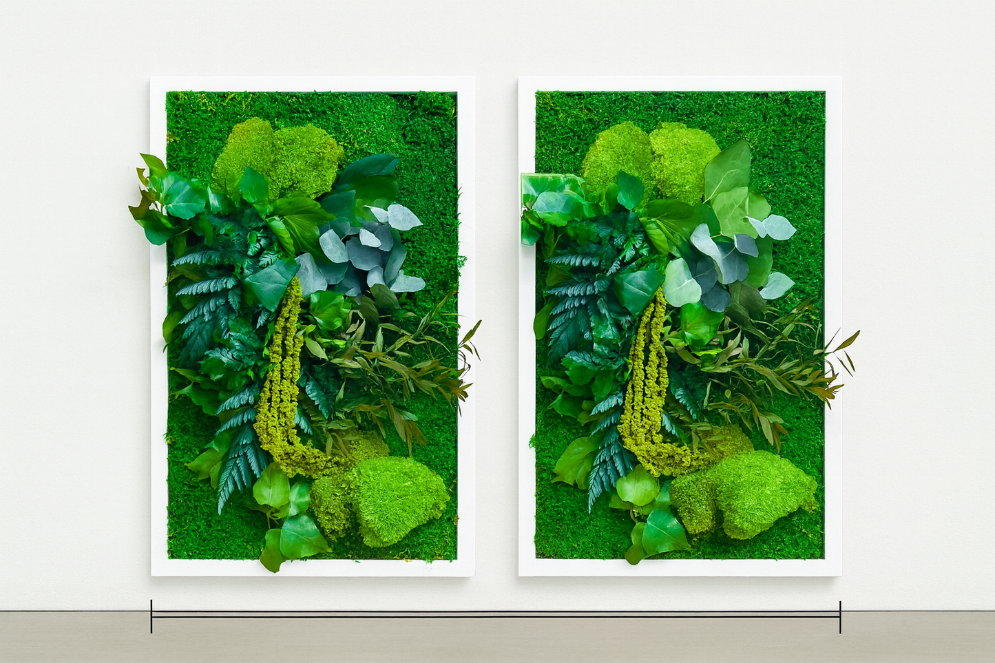 stabilisé végétal tableau déco mur