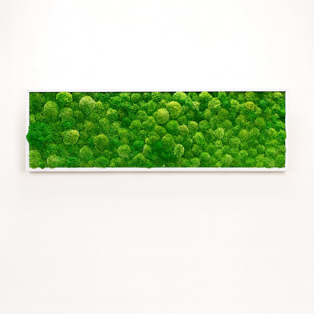 mur_tableau_v_g_tal_stabilis_nature