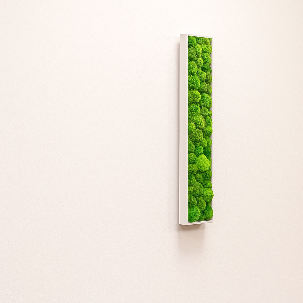 stabilisé végétal tableau mur naturel