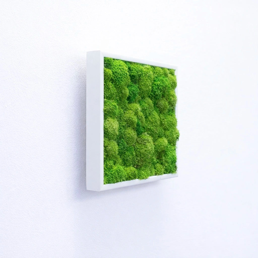 tableau végétal naturel stabilisé