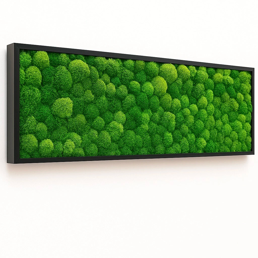 végétaux tableaux murs déco