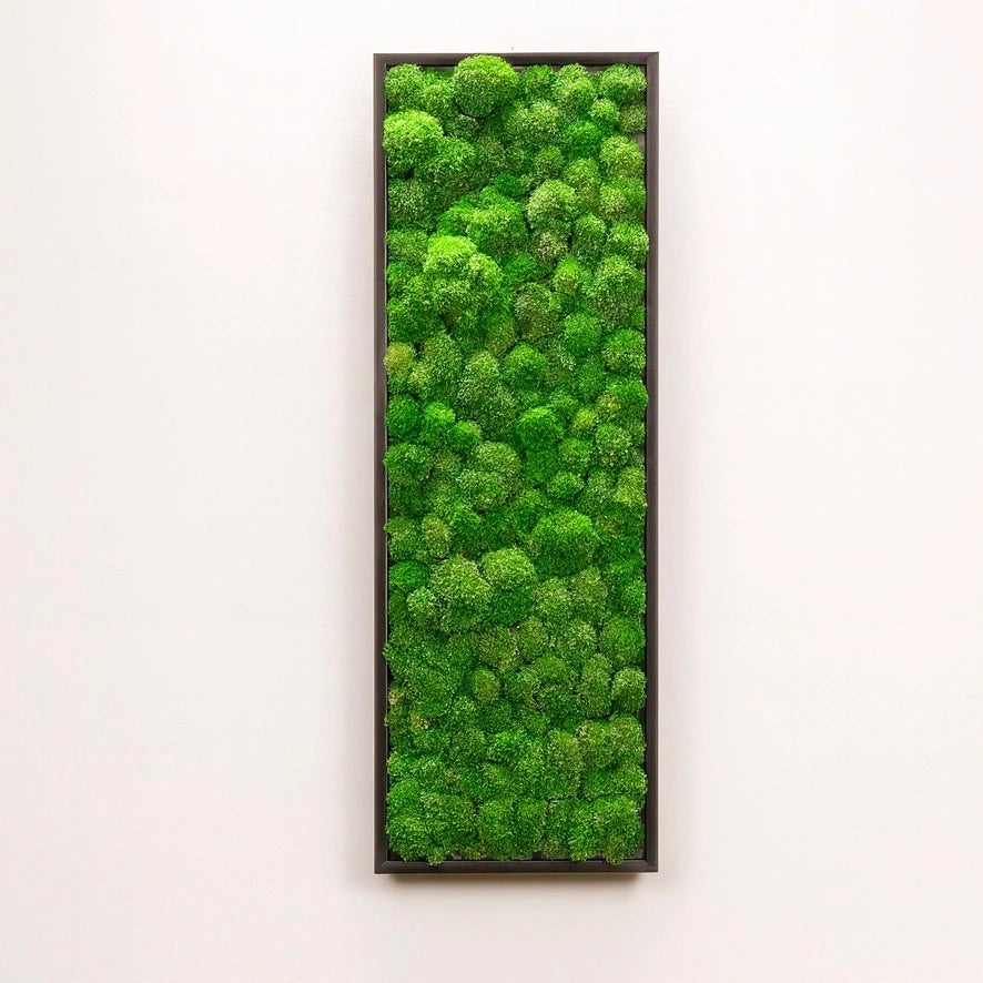 tableau naturel végétal stabilisé