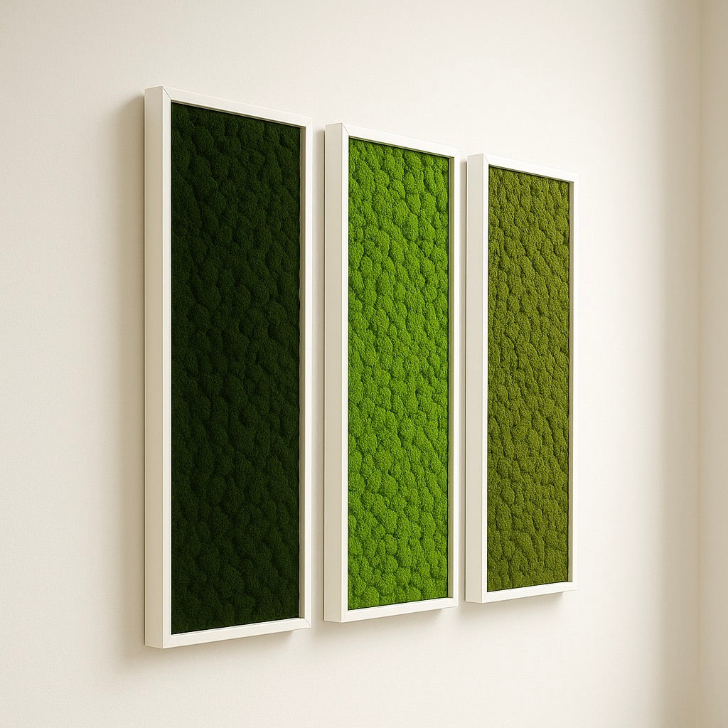 tableaux végétaux naturels stabilisés  