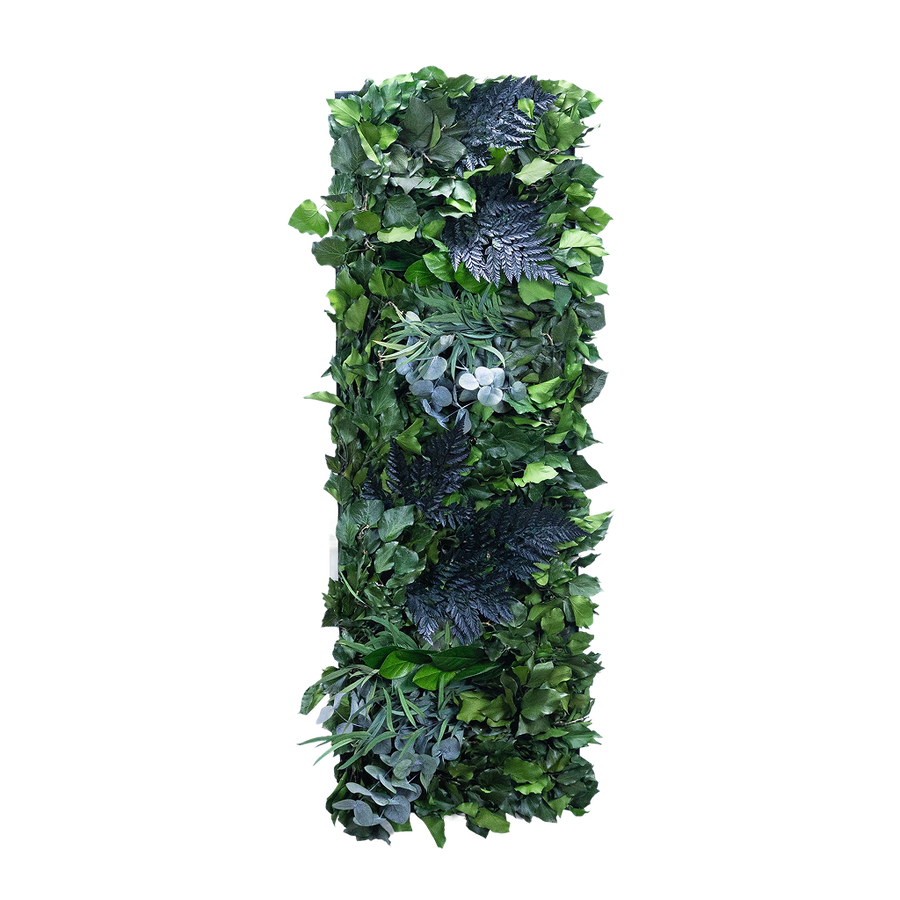 Tableaux Végétaux Forest