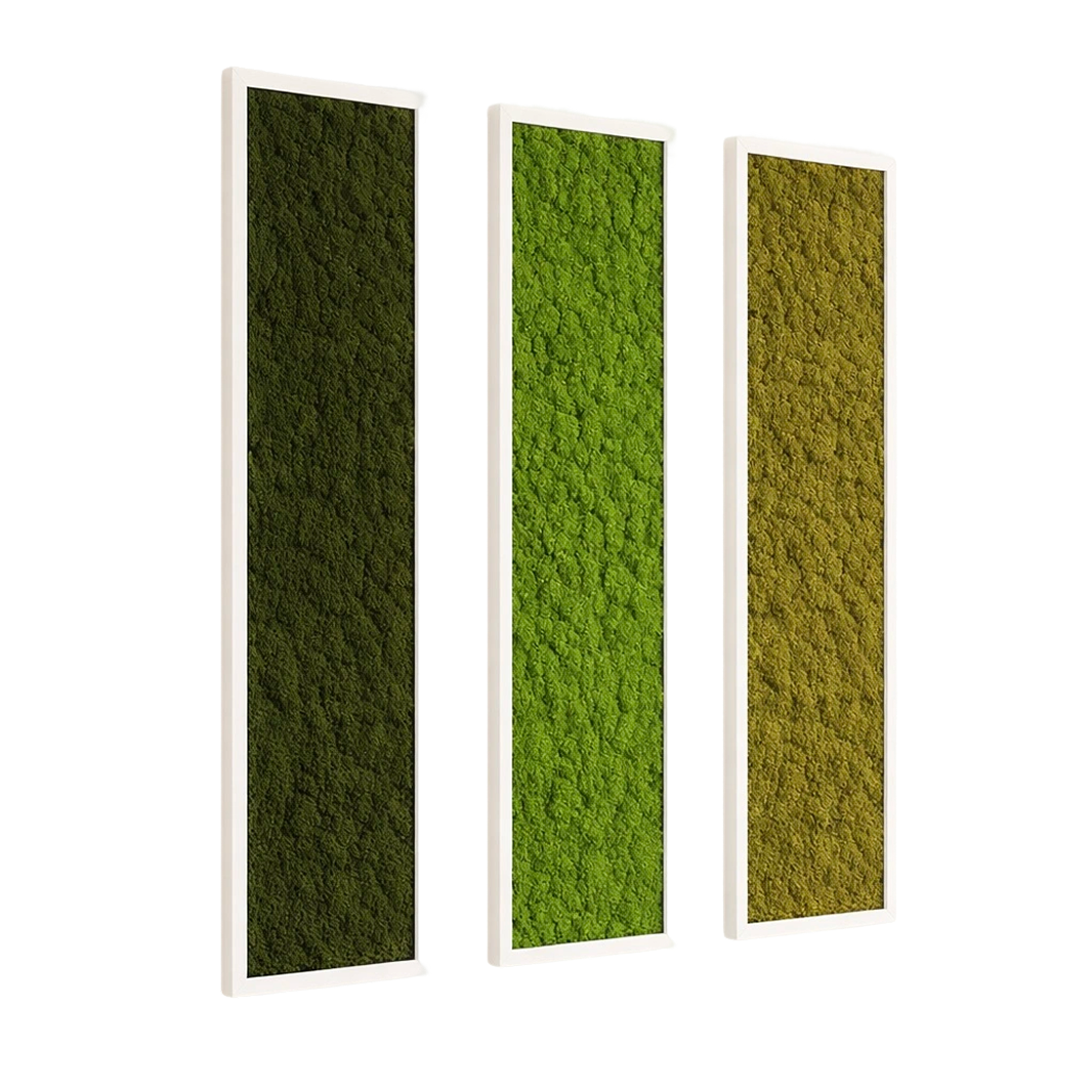 tableaux végétaux naturels stabilisés  