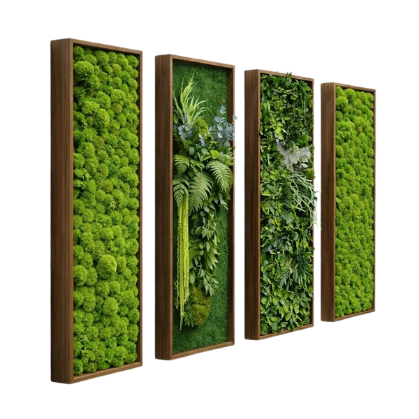 Pflanzenzusammensetzungen