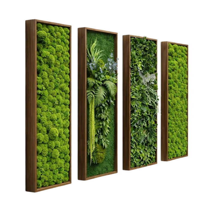 Composition of stabilized natural plant pictures