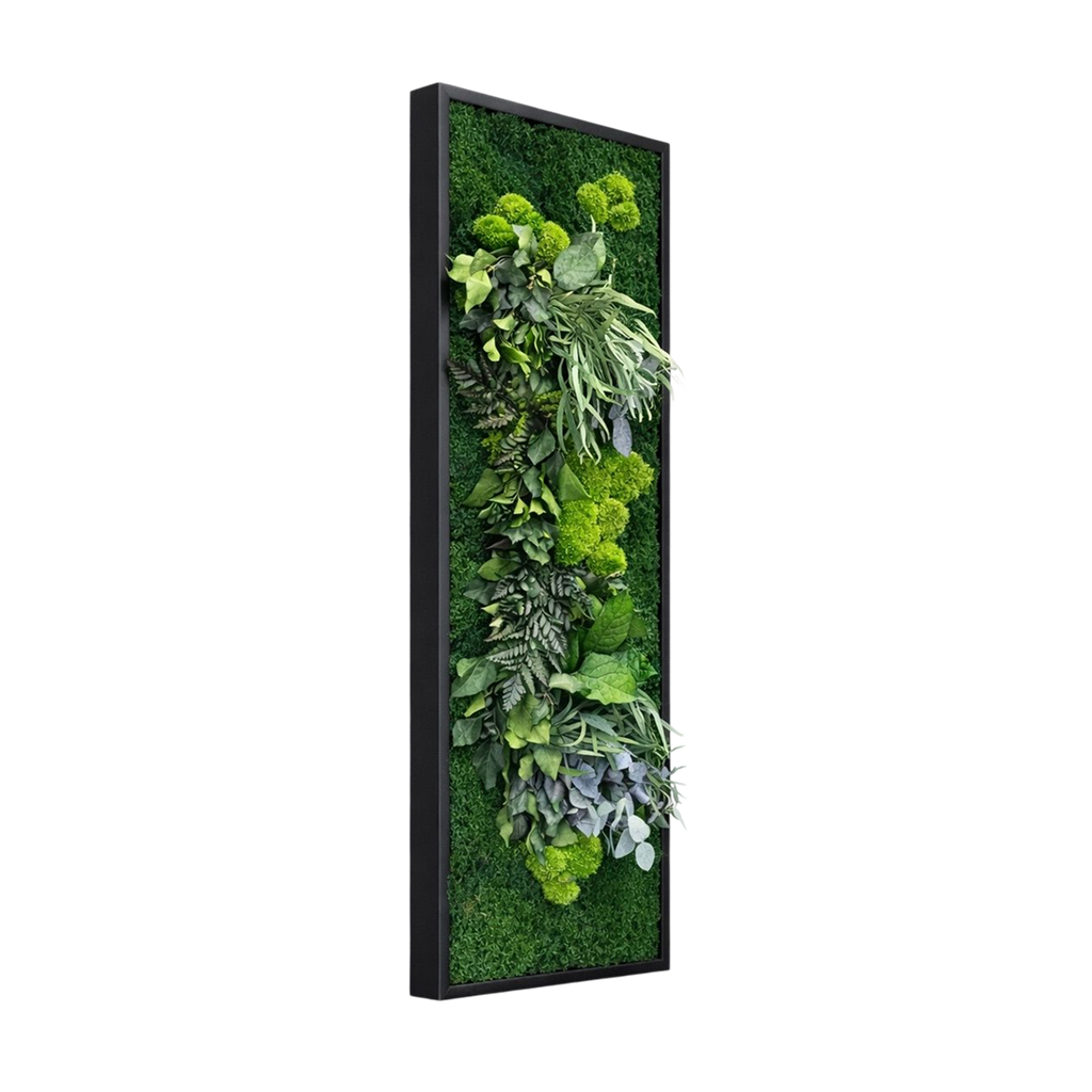 tableau végétal naturel stabilisé 