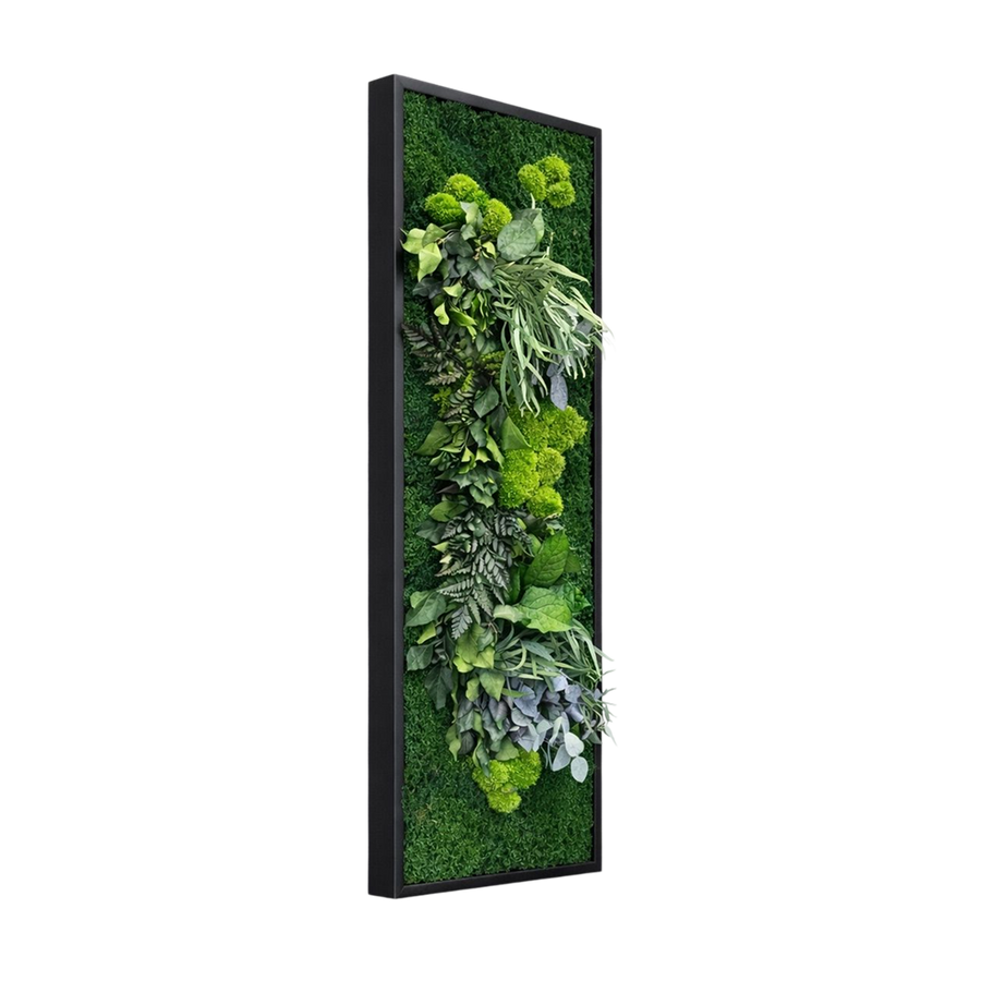 Tableaux Végétaux Jungle