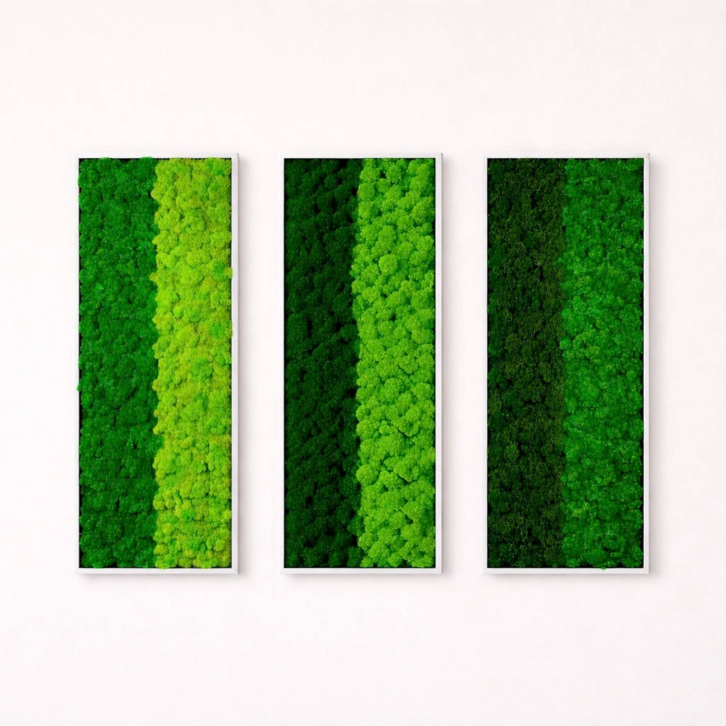 Composition of 3 preserved natural plant pictures - Two-tone lichen 115x40 cm
