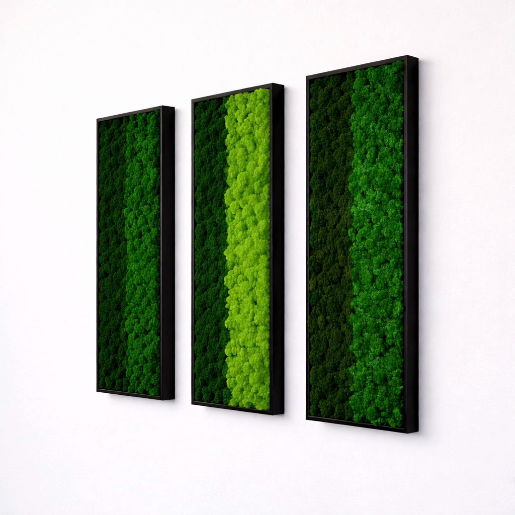 Composition of 3 preserved natural plant pictures - Two-tone lichen 115x40 cm