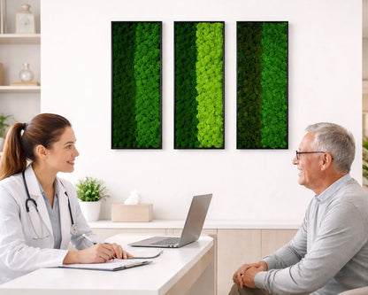 Composition of 3 preserved natural plant pictures - Two-tone lichen 115x40 cm