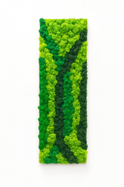 Composition de 2 tableaux végétaux naturels - Lichen 115x40 cm