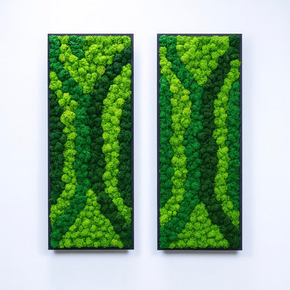 Composition de 2 tableaux végétaux naturels - Lichen 115x40 cm