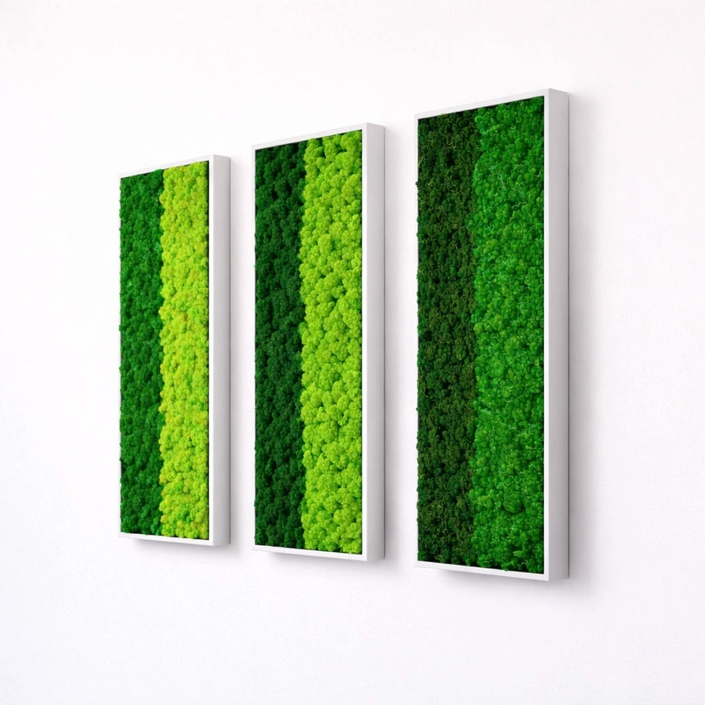tableaux végétaux naturels stabilisés 