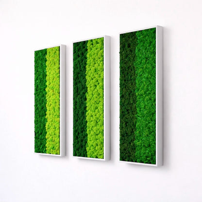 tableaux végétaux naturels stabilisés 