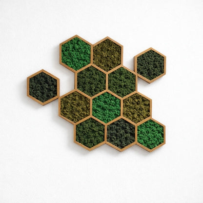 Tableaux végétaux naturels stabilisés 