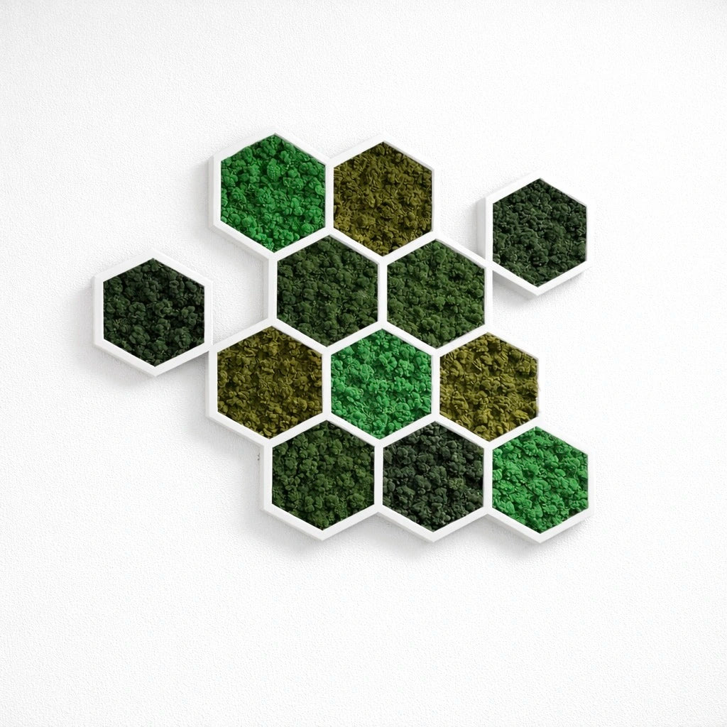 Tableaux végétaux naturels stabilisés 