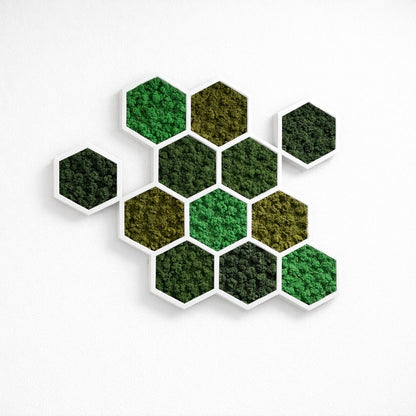 Tableaux végétaux naturels stabilisés 