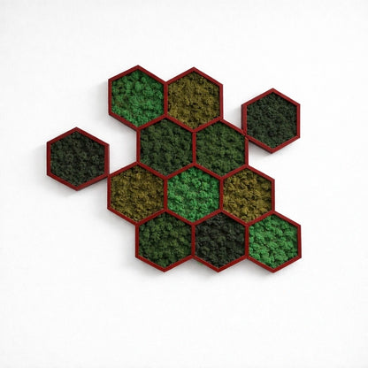 Tableaux végétaux naturels stabilisés 