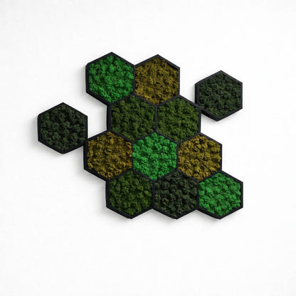 Tableaux végétaux naturels stabilisés 