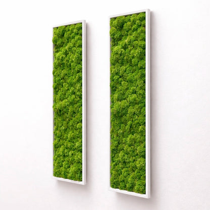 tableaux végétaux naturels stabilisés 