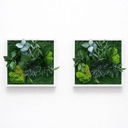 Tableaux végétaux naturels stabilisés 